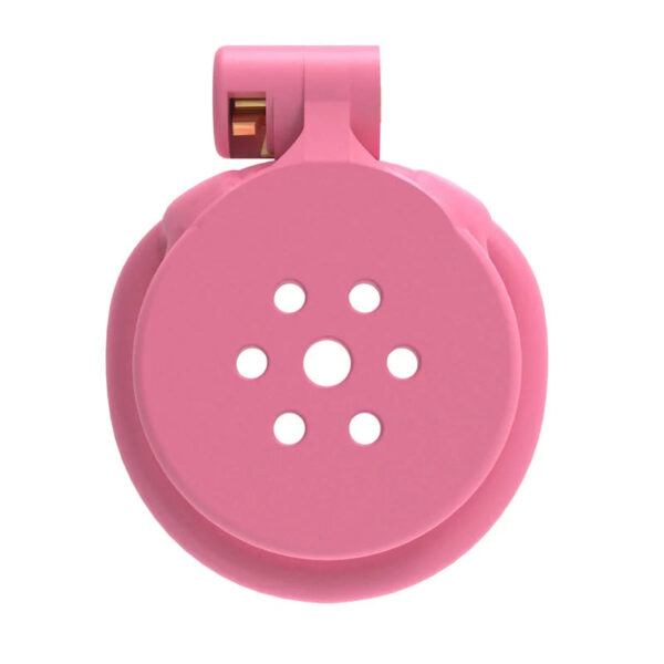 2024-New-Pink-Flat-Chastity-Lock-Ascetic-Escape-Proof-Chastity-Cage-with-4-Size-Rings-Adult_208b1217-c23c-4fe9-bb6b-7dd92a2b2a2b.jpg Pink Flat Chastity Lock in alternate gallery view 5