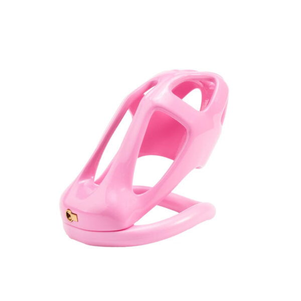 3D Skull Chastity Cage