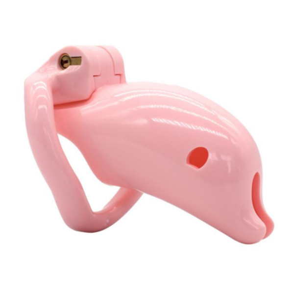 TheSissyDungeon-PinkResinCockCage_3.png The Sissy Pink Resin Cock Cage in alternate gallery view 3
