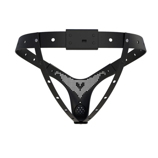 adjustable-tightness-chastity-belt-for-women_4.jpg Adjustable Female Chastity Belt with Pink Option, Resin and TPU, gallery view 4