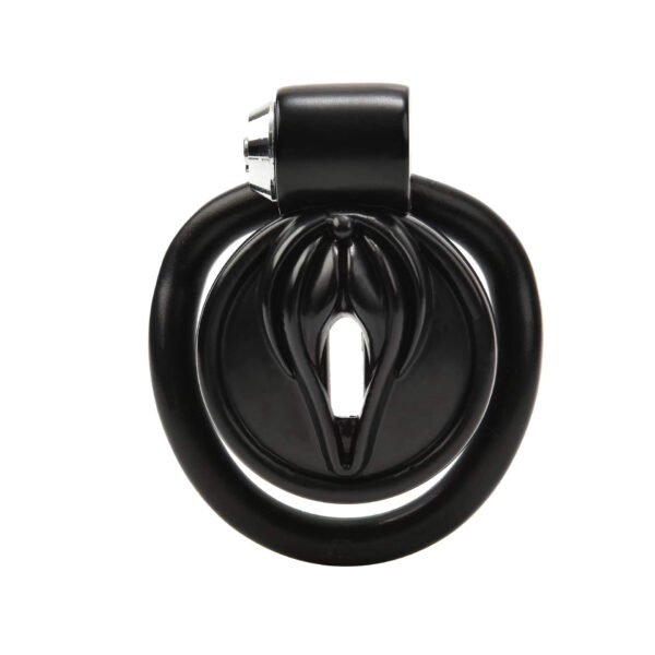 BDSM Bondage Follow-up Pussy Chastity Cage in alternate gallery view 6