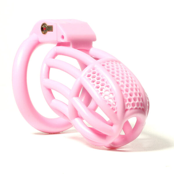 bdsm-hollow-male-chastity-device-with-4-ring1.jpg Lockable Honeycomb Chastity Device With 4 Rings in alternate gallery view 2