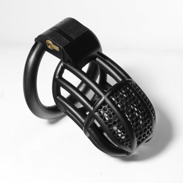 bdsm-hollow-male-chastity-device-with-4-ring2.jpg Lockable Honeycomb Chastity Device With 4 Rings in alternate gallery view 5