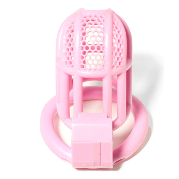 bdsm-hollow-male-chastity-device-with-4-ring4.jpg Lockable Honeycomb Chastity Device With 4 Rings feature details graphic 3