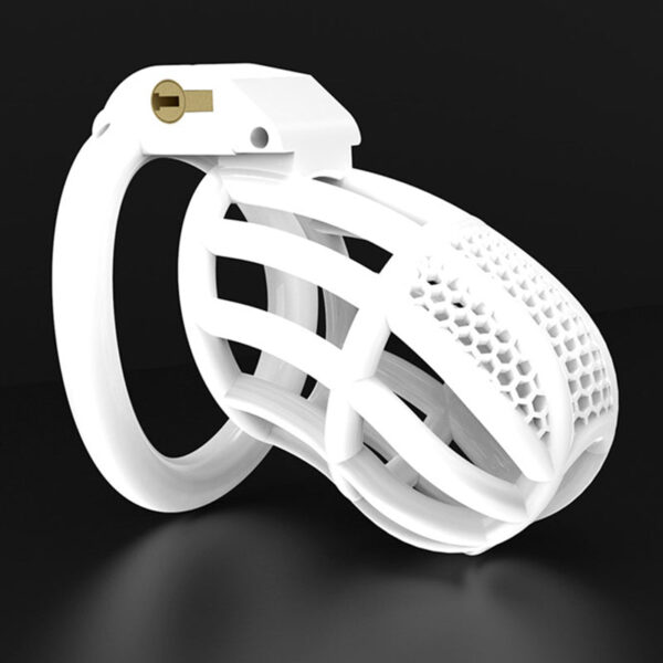 bdsm-hollow-male-chastity-device-with-4-ring5.jpg Lockable Honeycomb Chastity Device With 4 Rings in alternate gallery view 6