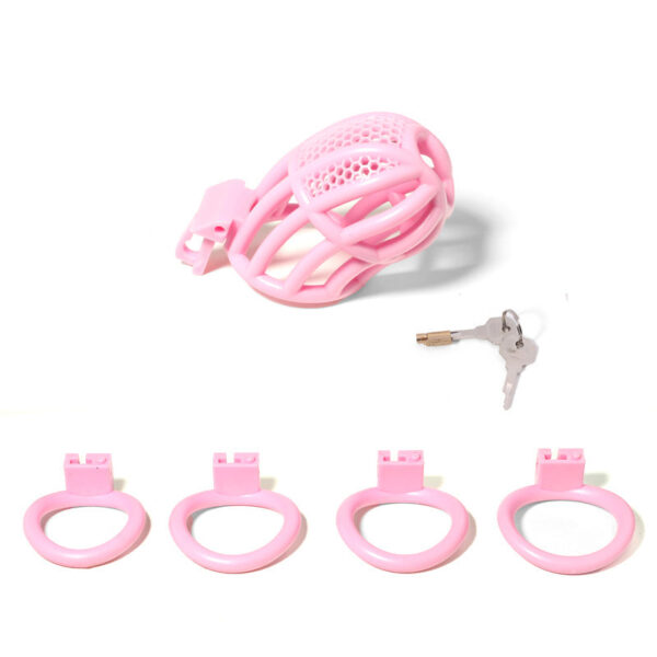 bdsm-hollow-male-chastity-device-with-4-ring6.jpg Lockable Honeycomb Chastity Device With 4 Rings in alternate gallery view 4