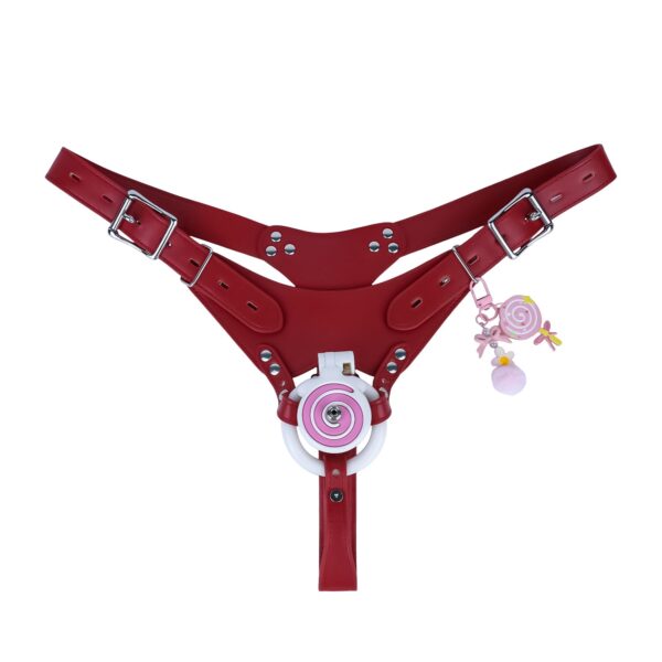 Pink and white cage with catheter and red belt