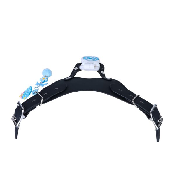 Black belt rear strap view