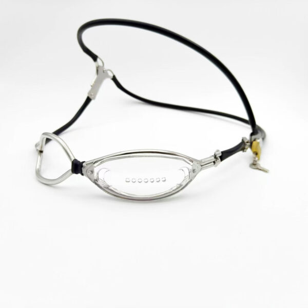 clear-chastity-belt-for-female_1.jpg Clear Panel Female Chastity Belt with Pink Option, gallery view 5