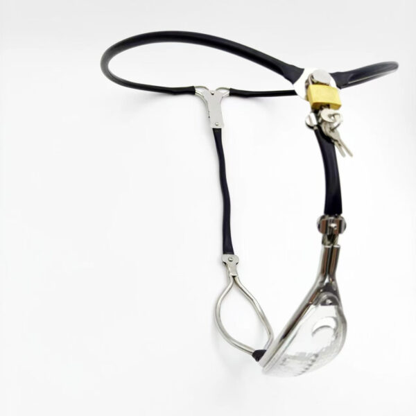 clear-chastity-belt-for-female_4.jpg Clear Panel Female Chastity Belt with Pink Option, gallery view 3