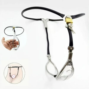 Clear Panel Female Chastity Belt with Pink Option, product view