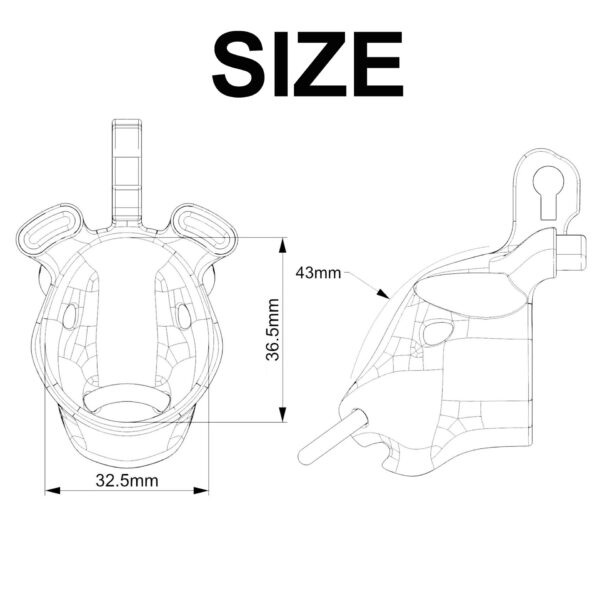 Cretan Bull cage size diagram showing 32.5 mm, 36.5 mm and 43 mm measurements