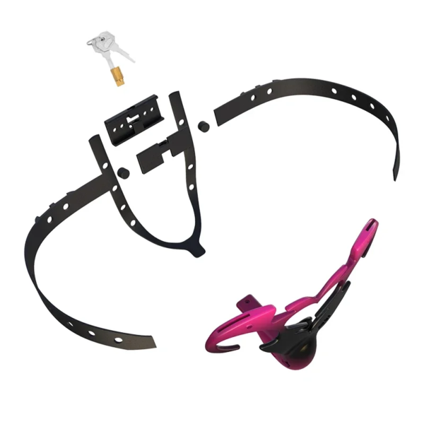 devils-eye-succubus-belt_8.png Black Devil's Eye Succubus belt components and keys laid out
