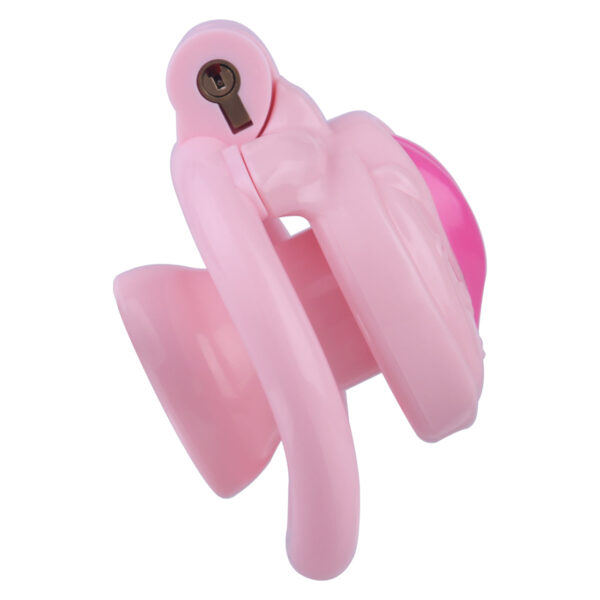 diy-pussy-cock-cage-three-colors-to-select_11.jpg DIY Pussy Cock Cage - 12