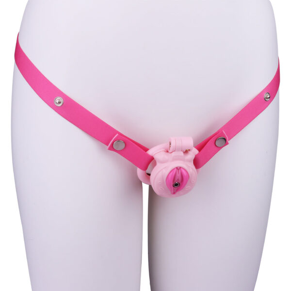 diy-pussy-cock-cage-three-colors-to-select_6.jpg DIY Pussy Cock Cage - 7