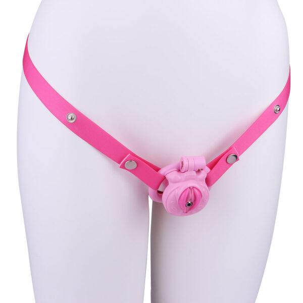 diy-pussy-cock-cage-three-colors-to-select_7.jpg DIY Pussy Cock Cage - 6