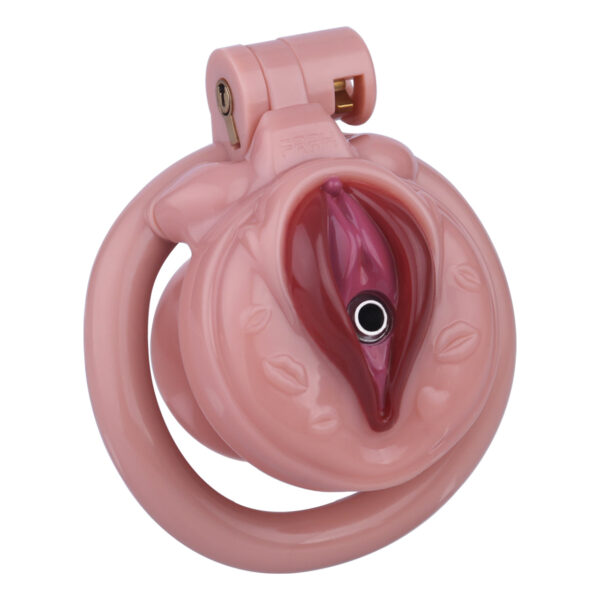 diy-pussy-cock-cage-three-colors-to-select_8.jpg DIY Pussy Cock Cage - 3