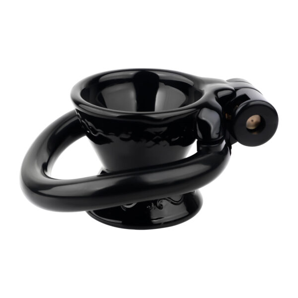 Exposed Inverted Chastity Cage 8