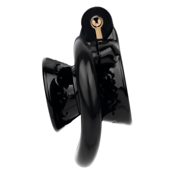 Exposed Inverted Chastity Cage 3