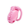 Extreme humiliation SLUT Chastity Cage in the main gallery view