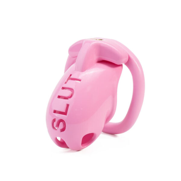 Extreme humiliation SLUT Chastity Cage in the main gallery view