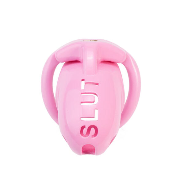 Extreme humiliation SLUT Chastity Cage in alternate gallery view 5