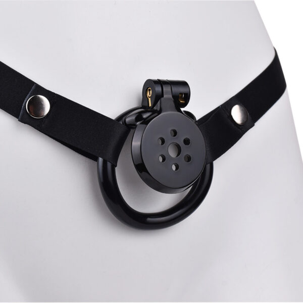 flat-chastity-prison-13.jpg Flat Chastity Prison Cage in alternate gallery view 14