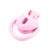 heart-shape-chastity-cage_9.png Heart Shape Chastity Cage -9