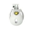 Macaron Cage Resin Chastity Device in alternate gallery view 18