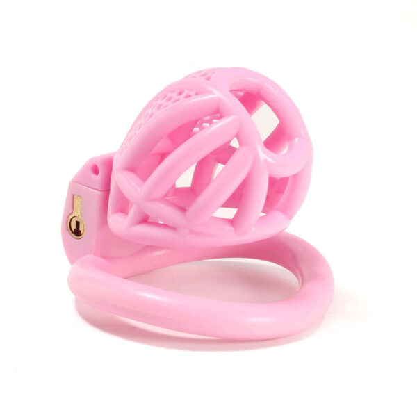 Mini Honeycomb Chastity Device With 4 Ring in alternate gallery view 3