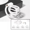 3D Printing Chastity Cage With 4 Rings dimensions showing 40mm, detail 7