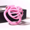3D Printing Chastity Cage With 4 Rings in the main gallery view