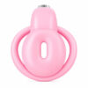 Nipple-Design Chastity Device