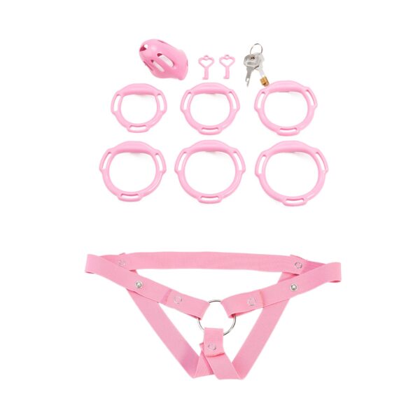 oval-ventilated-resin-chastity-cage-set-configuration-15.jpg Oval ventilated cage configuration 15 and included accessories