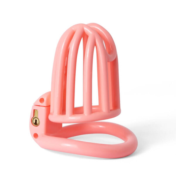Slave Prison 3D Printed Lightweight Chastity Device in alternate gallery view 2