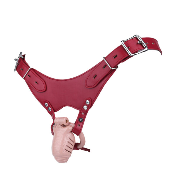 Resin Realistic Chastity Cage in alternate gallery view 10