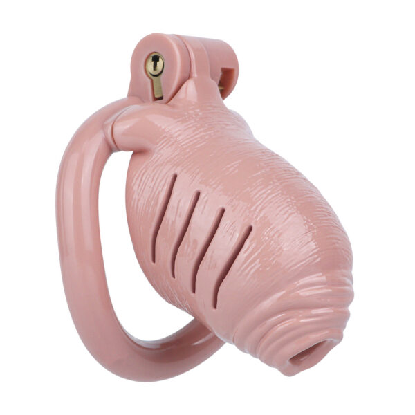 Resin Realistic Chastity Cage in alternate gallery view 3
