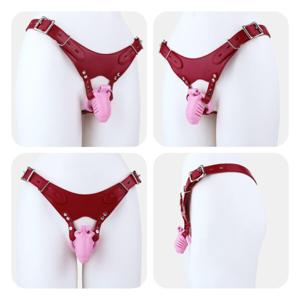 Resin Realistic Chastity Cage in alternate gallery view 17