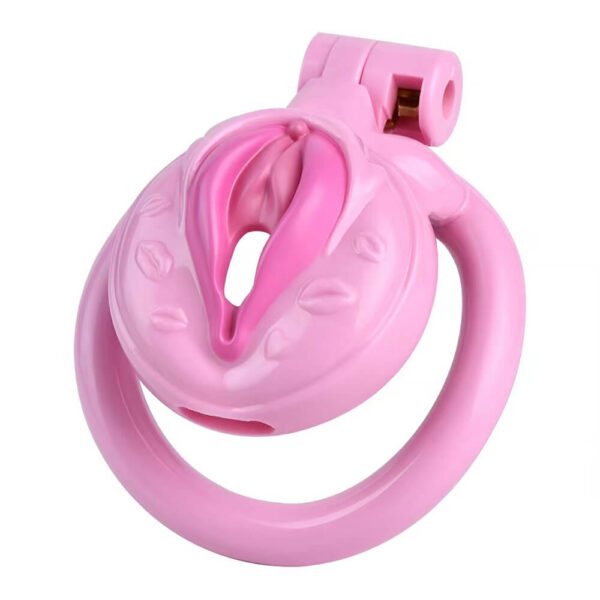 simulated-pussy-integrated-chastity-cage_2.jpg Simulated Pussy Integrated Chastity Cage in alternate gallery view 2