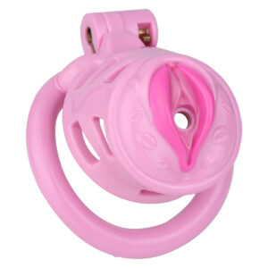 Sissy Pussy Chastity Cage - 1