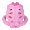 Sissy Pussy Chastity Cage - 11