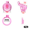 Sissy Pussy Chastity Cage - 20