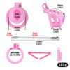 Sissy Pussy Chastity Cage - 7