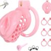 Sissy Silicone Chastity Cage in the main gallery view