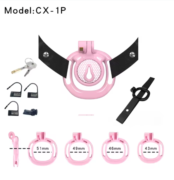 Sissy Cage With Wearable Chastity Cage in alternate gallery view 12