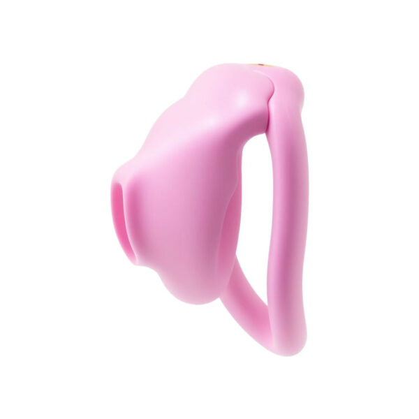 super-little-bird-chastity-cage_1.jpg Super Little Bird Chastity Cage 1