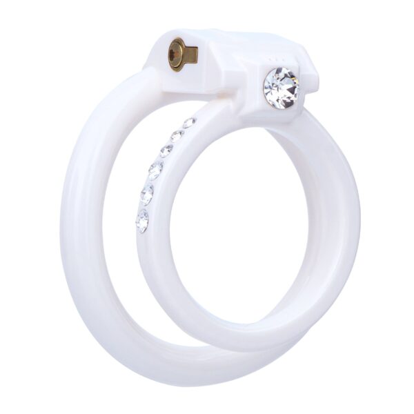the-contract-of-time-diamonds-chastity-cage_10.jpg The Contract Of Time Diamonds Chastity Cage in alternate gallery view 8
