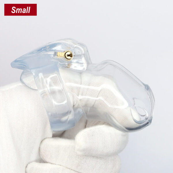 The Small-Sung V4 Chastity Cage 1.57 Inches Long in alternate gallery view 3
