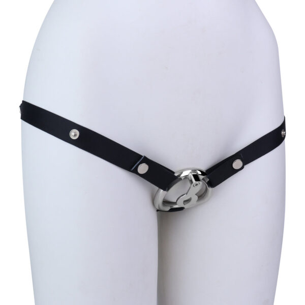 zeus-eye-flat-chastity-cage_5.jpg Zeus' Eye flat stainless steel chastity cage and belt options, gallery image 5